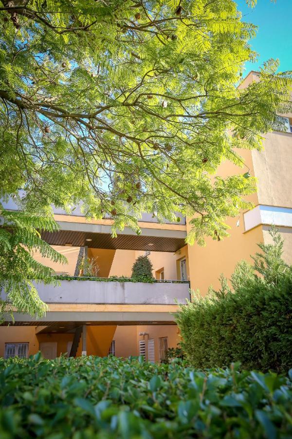 Montesol Home - Parking Gratis Aiamonte Exterior foto