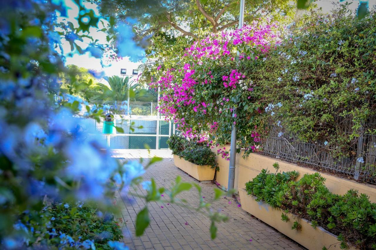 Montesol Home - Parking Gratis Aiamonte Exterior foto